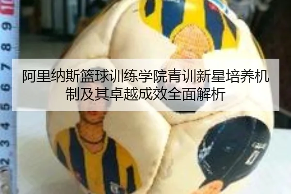 阿里纳斯篮球训练学院青训新星培养机制及其卓越成效全面解析